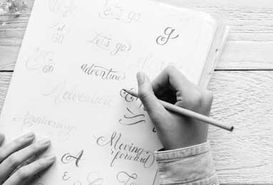 冬至麋鹿鹿角脱落：自然规律中的生命循环启示