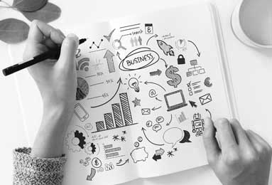 冬至麋鹿鹿角脱落：自然规律中的生命循环启示