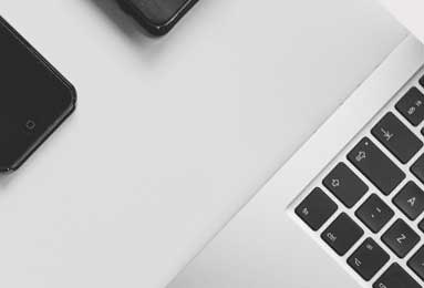 冬至麋鹿鹿角脱落：自然规律中的生命循环启示