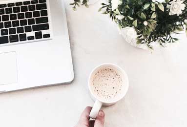 冬至麋鹿鹿角脱落：自然规律中的生命循环启示